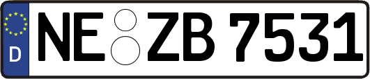NE-ZB7531