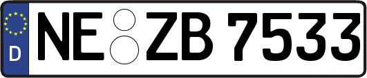 NE-ZB7533
