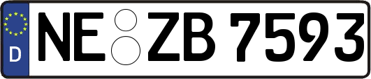 NE-ZB7593