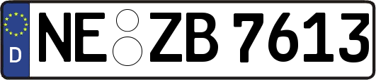 NE-ZB7613