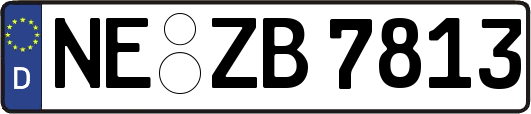 NE-ZB7813