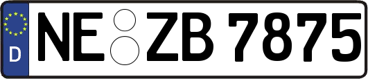 NE-ZB7875