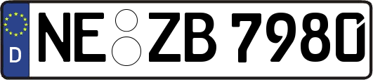 NE-ZB7980