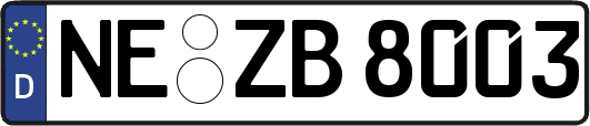 NE-ZB8003
