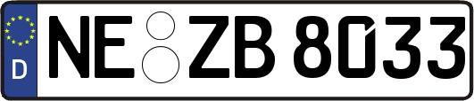 NE-ZB8033