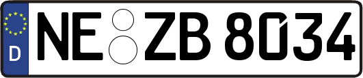 NE-ZB8034