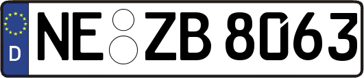 NE-ZB8063