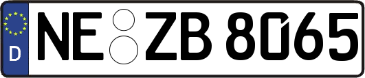NE-ZB8065