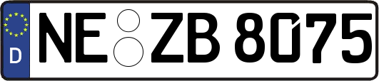 NE-ZB8075