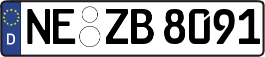 NE-ZB8091