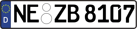 NE-ZB8107
