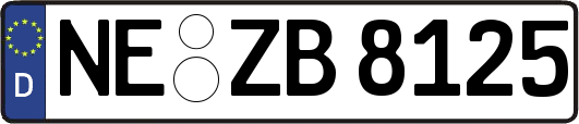 NE-ZB8125