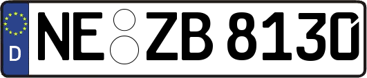 NE-ZB8130