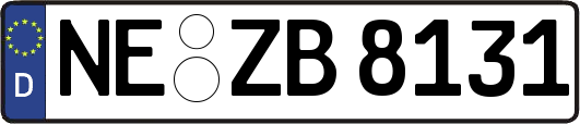 NE-ZB8131