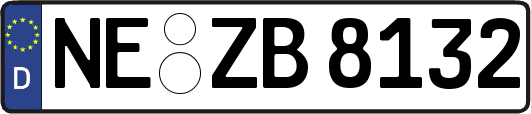 NE-ZB8132