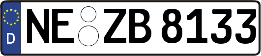 NE-ZB8133