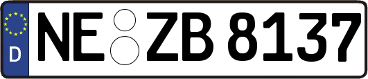 NE-ZB8137