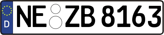 NE-ZB8163