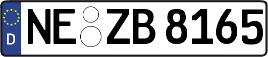 NE-ZB8165