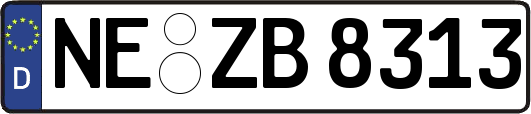 NE-ZB8313