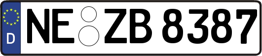 NE-ZB8387