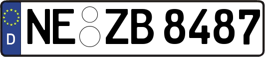 NE-ZB8487