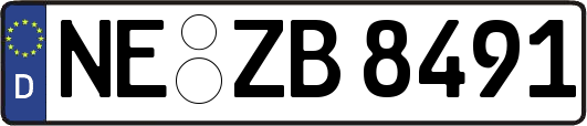 NE-ZB8491