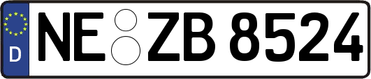NE-ZB8524