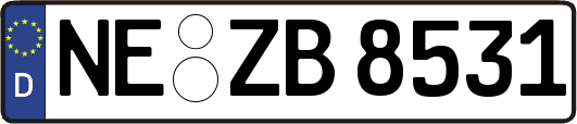 NE-ZB8531