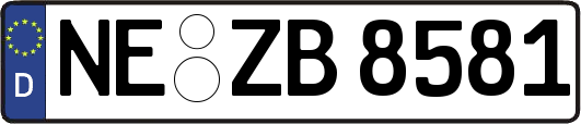 NE-ZB8581