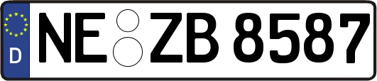 NE-ZB8587