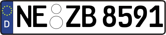NE-ZB8591