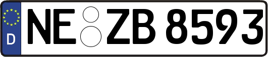 NE-ZB8593