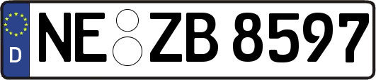 NE-ZB8597