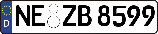 NE-ZB8599