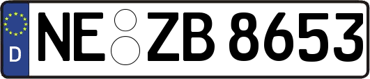 NE-ZB8653