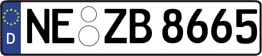 NE-ZB8665