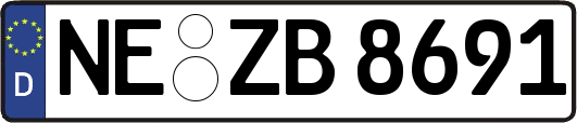 NE-ZB8691