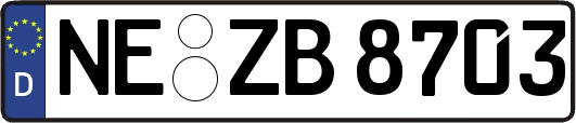 NE-ZB8703