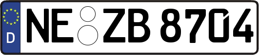 NE-ZB8704