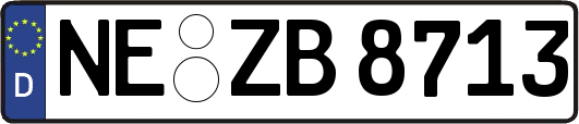 NE-ZB8713