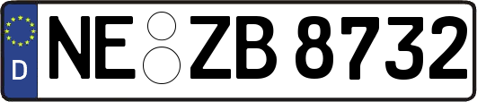 NE-ZB8732