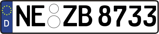 NE-ZB8733