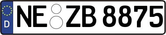 NE-ZB8875