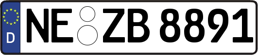 NE-ZB8891