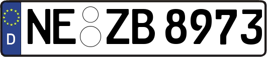 NE-ZB8973