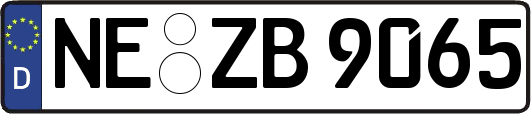 NE-ZB9065