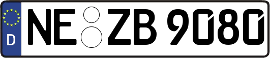 NE-ZB9080