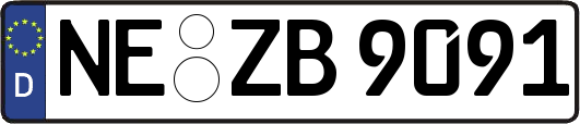 NE-ZB9091