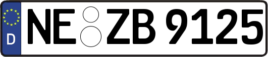 NE-ZB9125